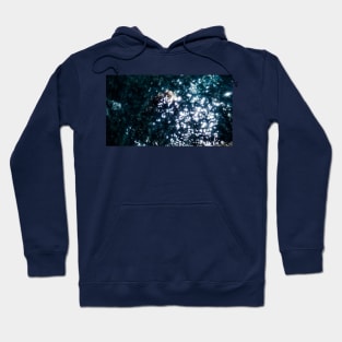 Sun sparkle on the ocean water Hoodie